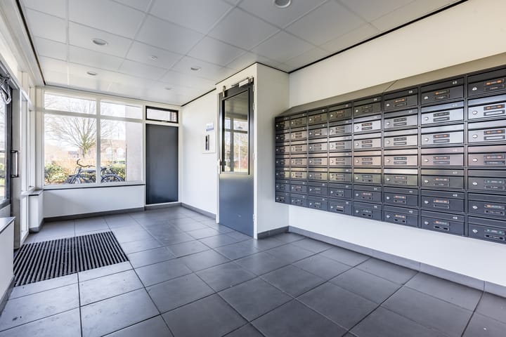 Foto 2 van Lodewijkdonk 2