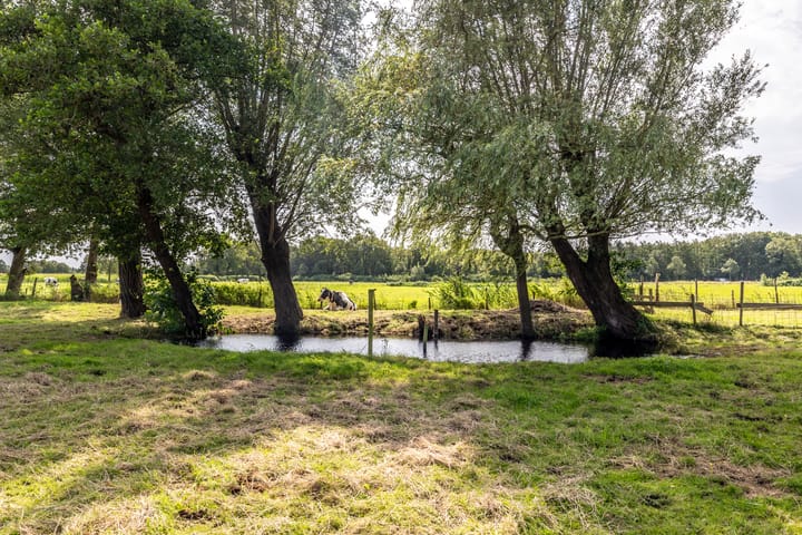 Foto 56 van Oudlandstraatje 25