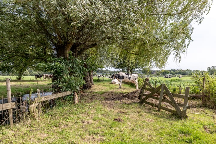 Foto 58 van Oudlandstraatje 25