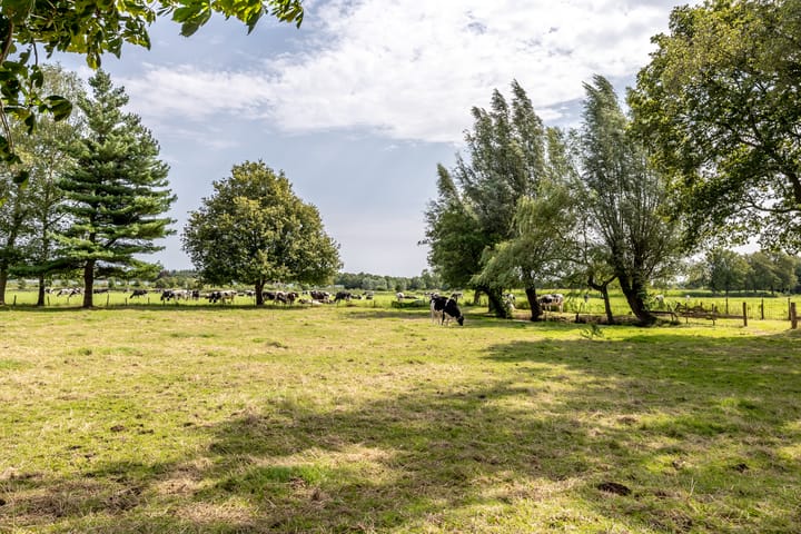 Foto 59 van Oudlandstraatje 25