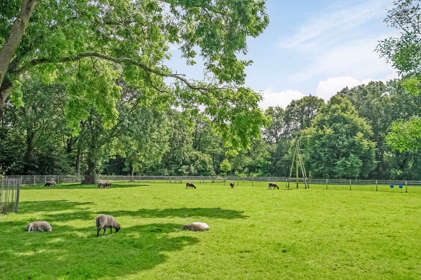 Foto 44 van Santhorst 107