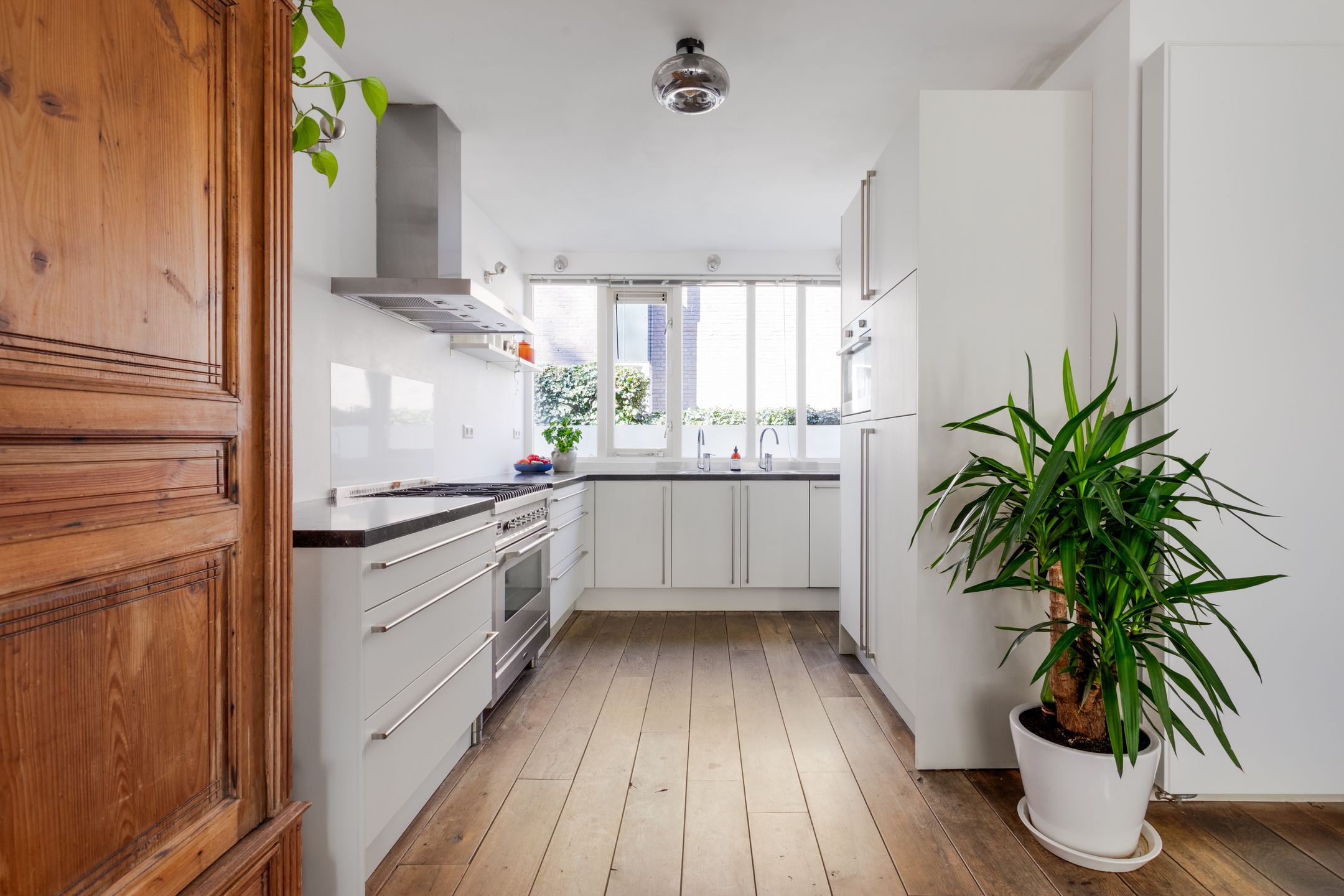 Photo 6 of Vogelwaarde 50