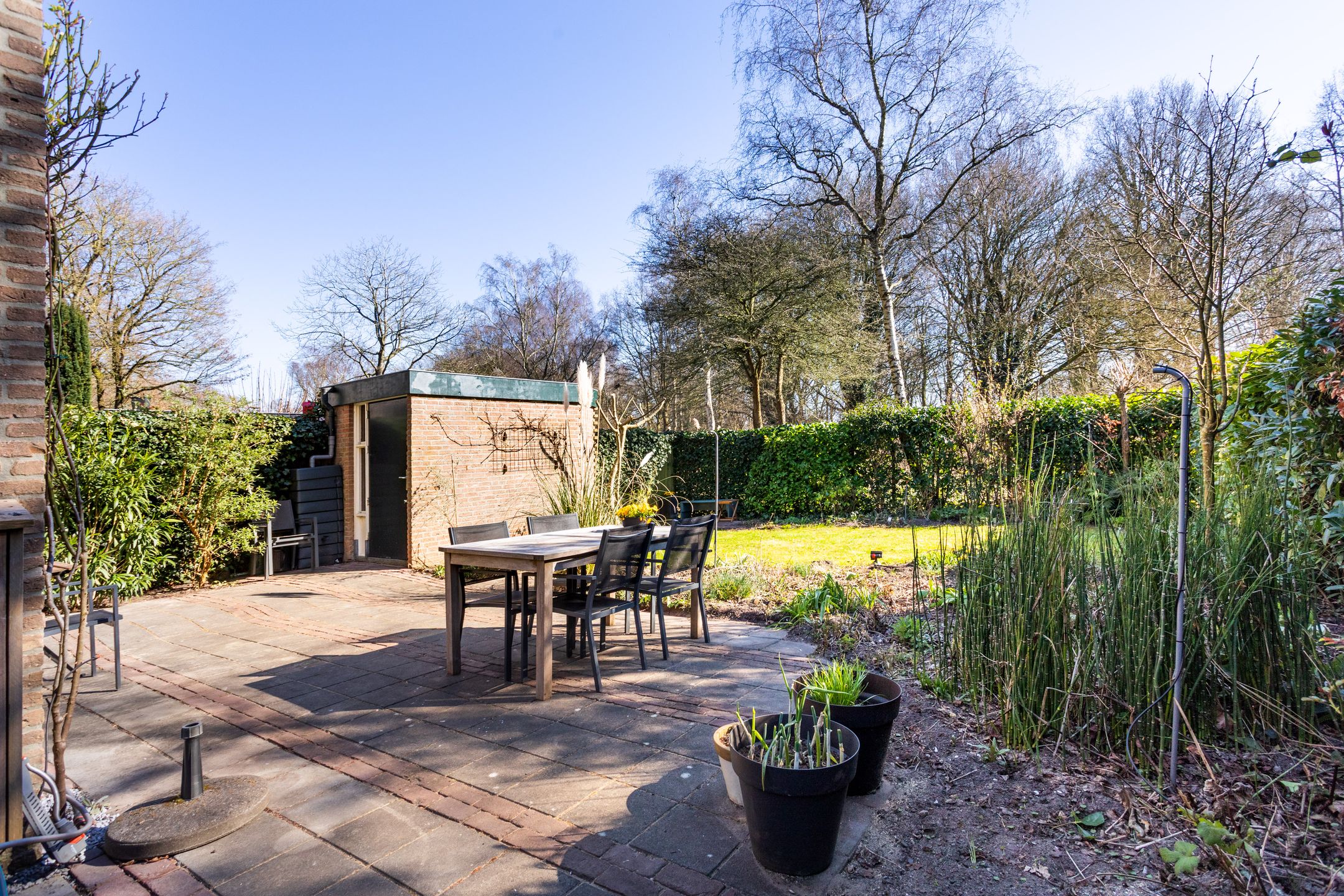 Photo 9 of Vogelwaarde 50