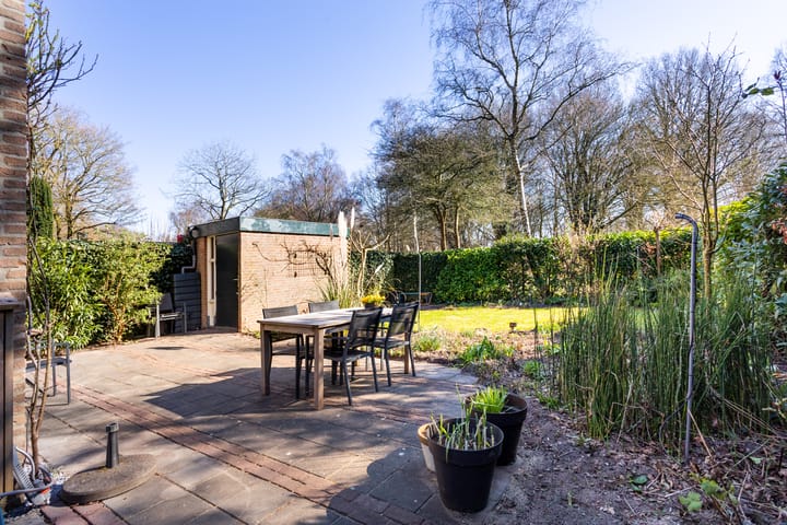 Foto 9 van Vogelwaarde 50