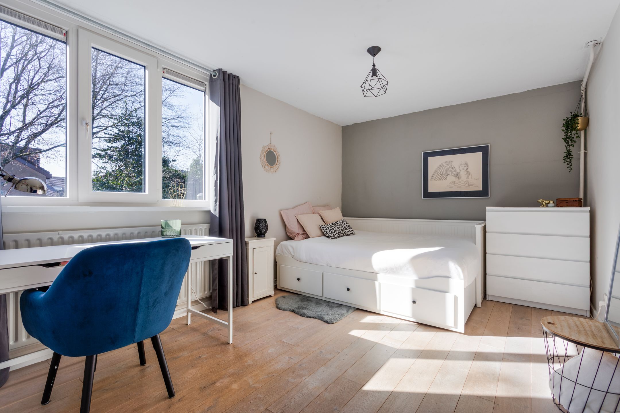 Photo 15 of Vogelwaarde 50