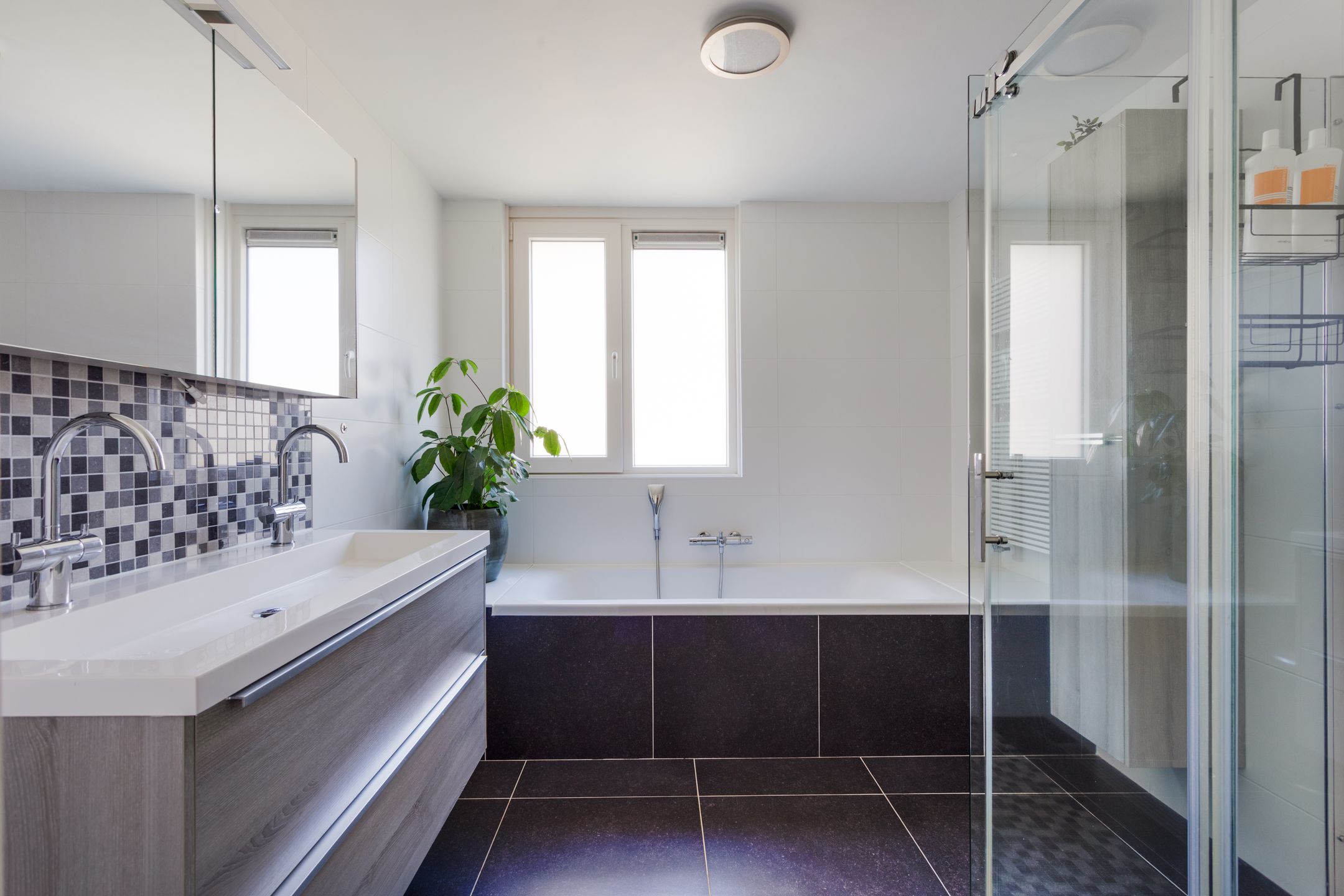 Photo 18 of Vogelwaarde 50