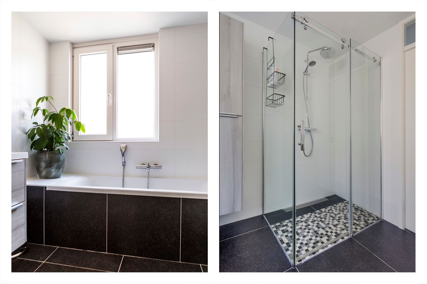 Photo 19 of Vogelwaarde 50