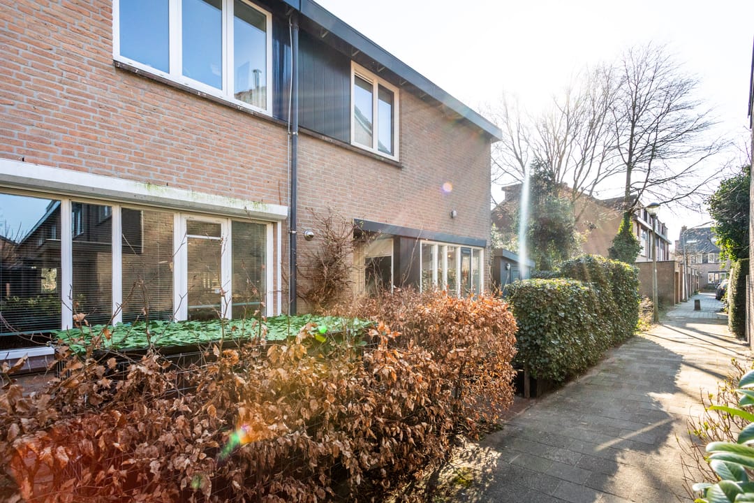 Photo 26 of Vogelwaarde 50