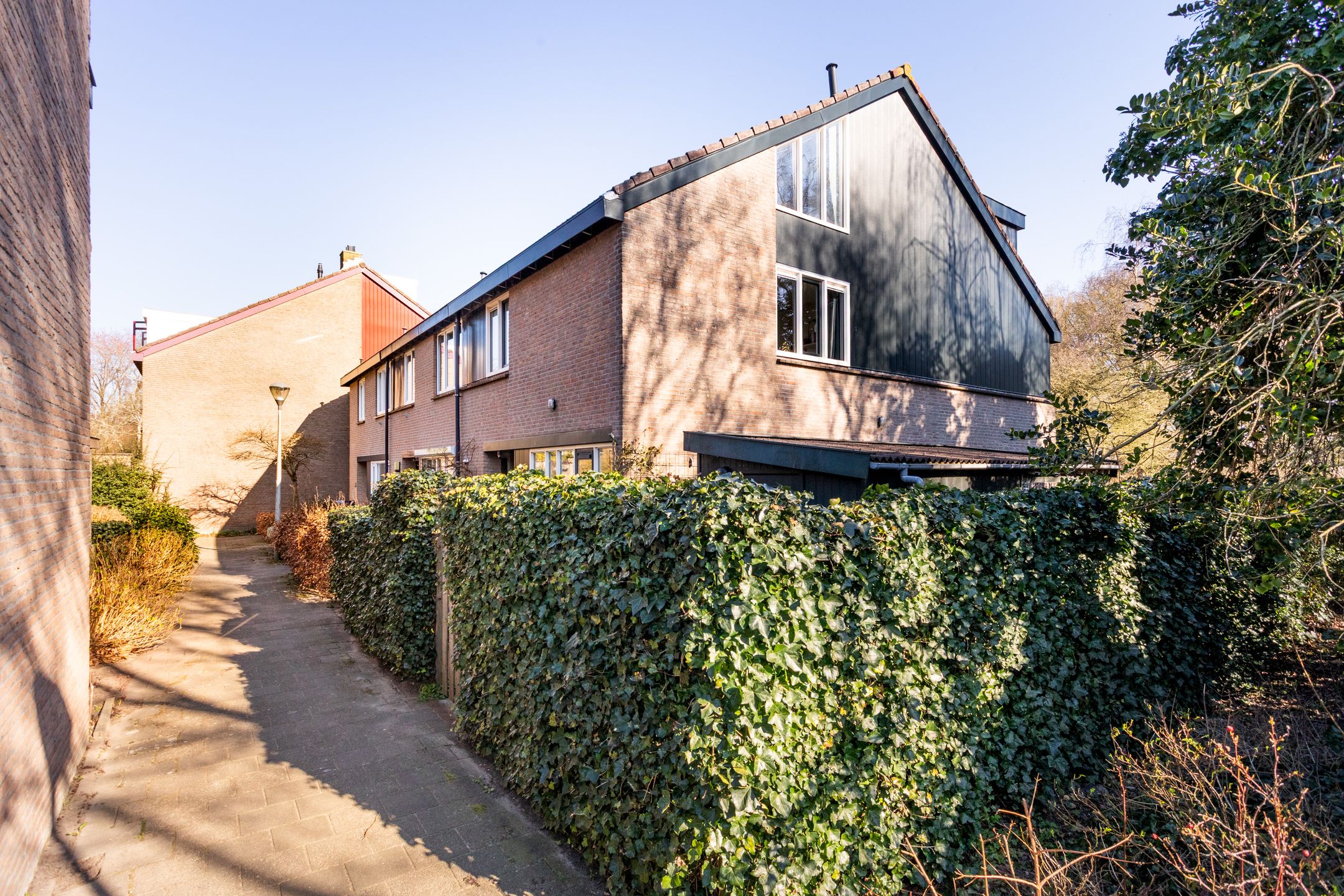 Photo 27 of Vogelwaarde 50