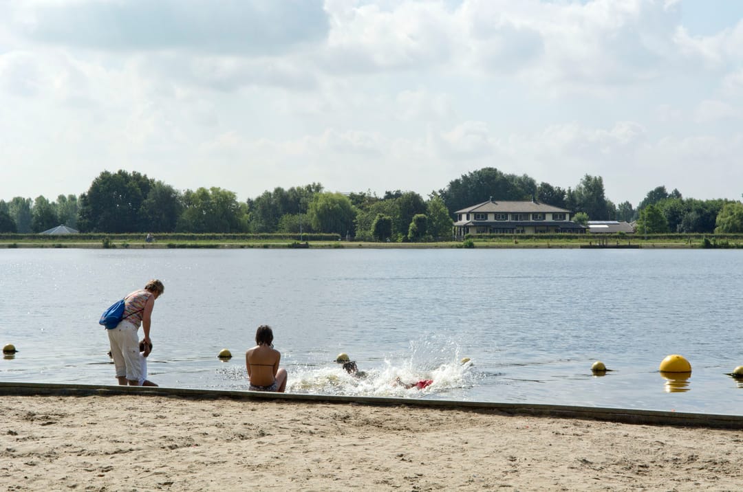 Photo 32 of Vogelwaarde 50