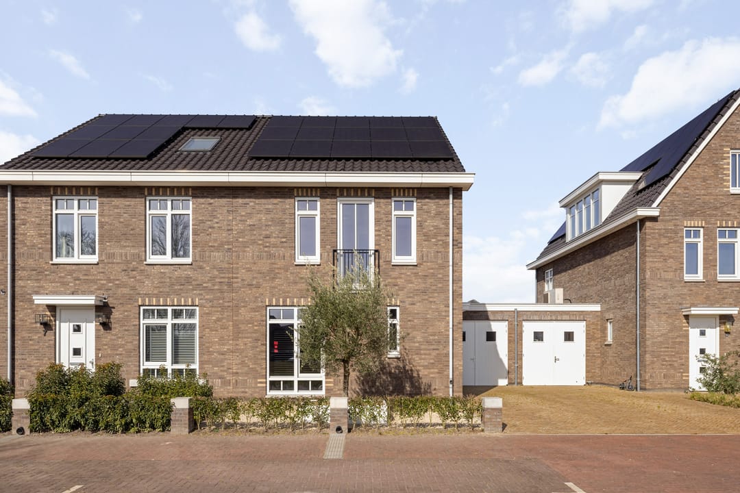 Photo 7 of Ooievaar 9