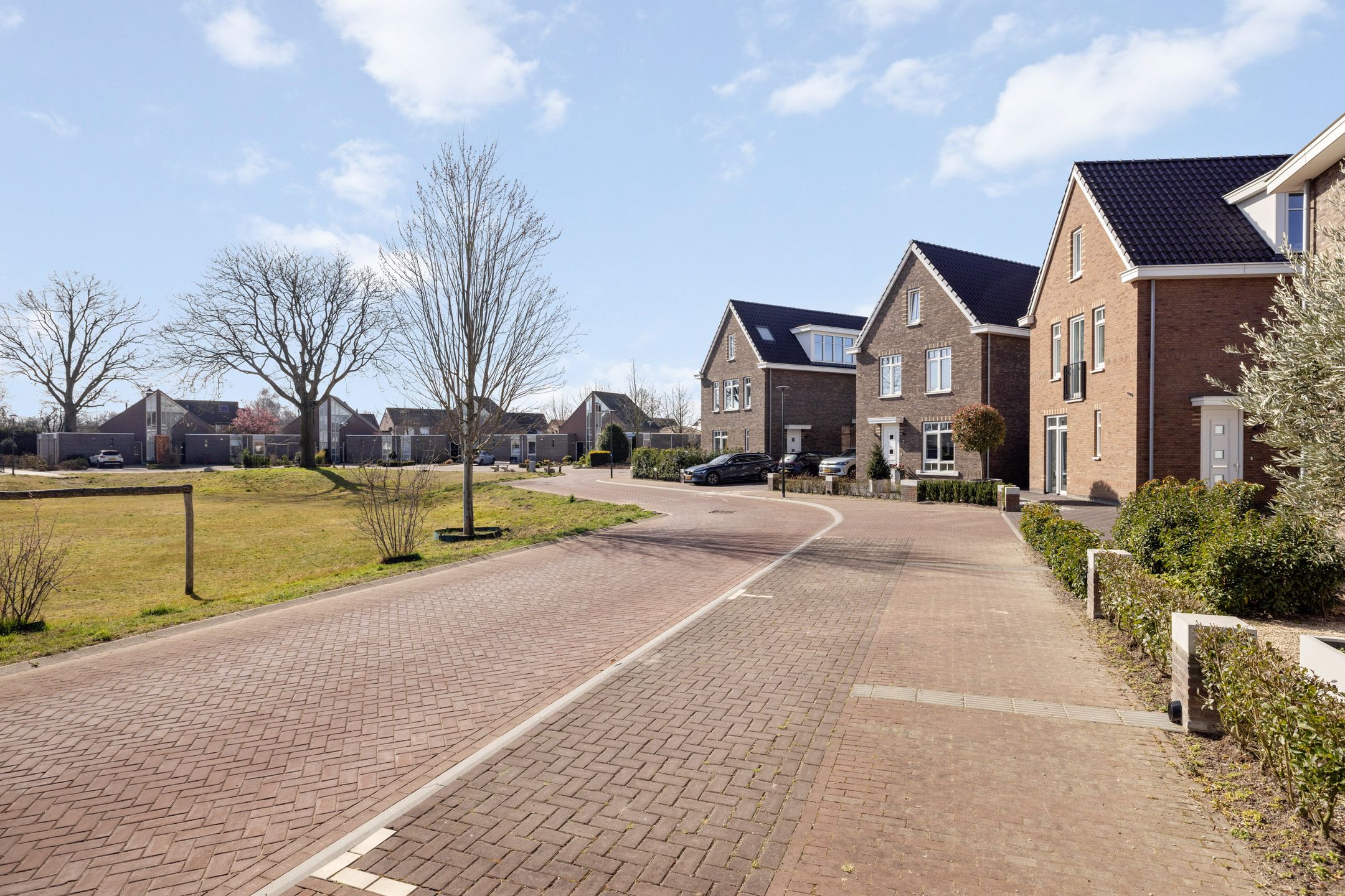 Photo 9 of Ooievaar 9