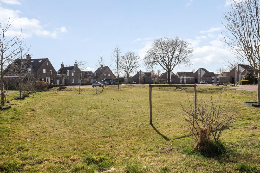 Photo 56 of Ooievaar 9