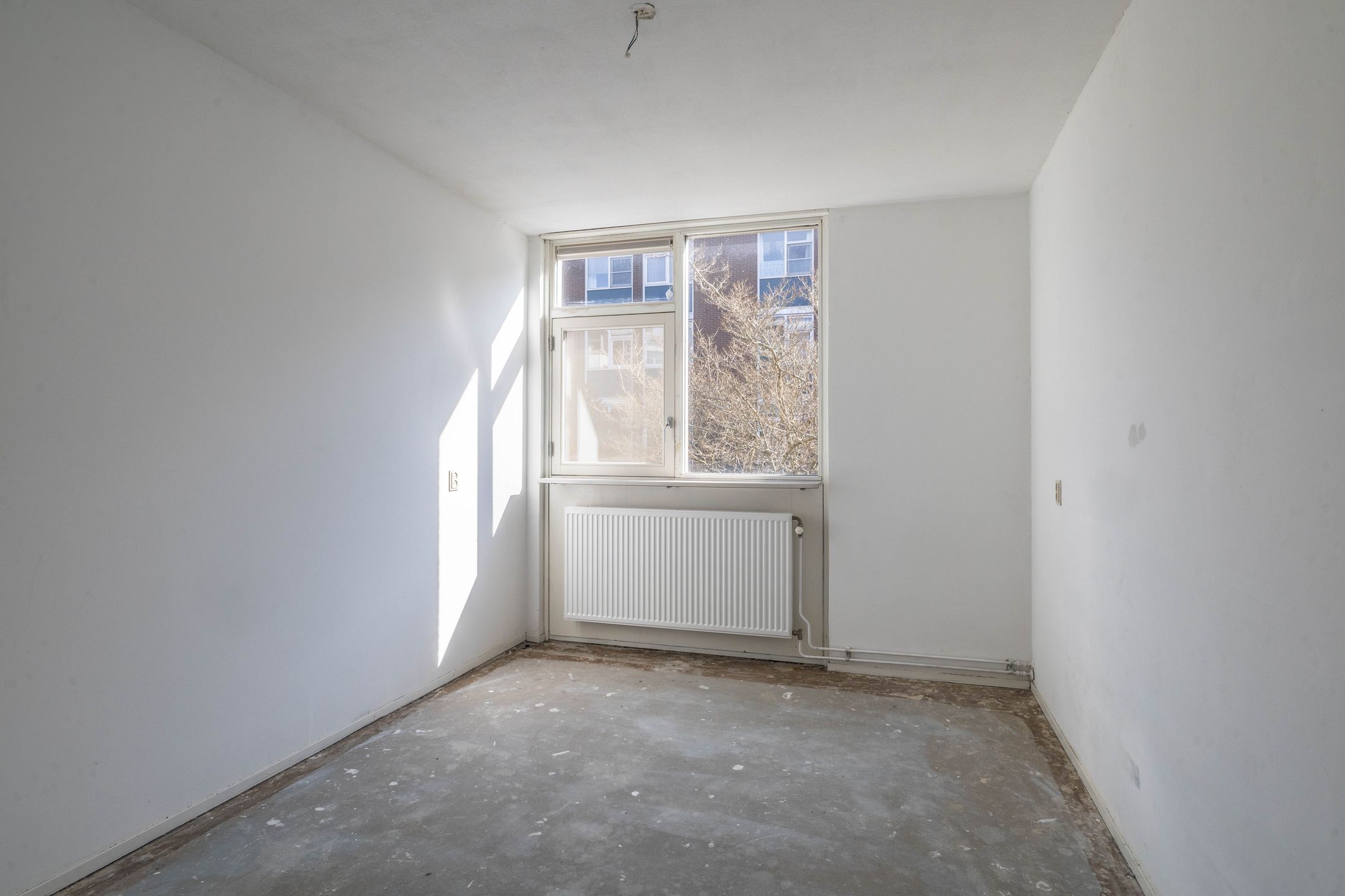 Foto 12 van Van Beuningenstraat 65