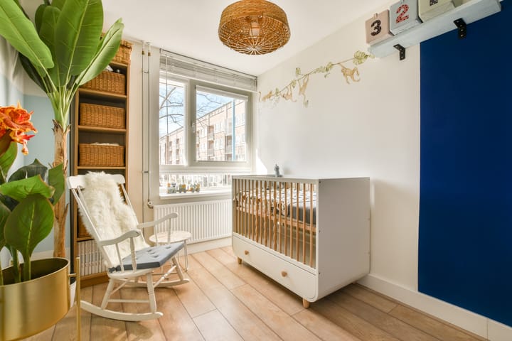 Foto 21 van Goeman Borgesiusstraat 1-C