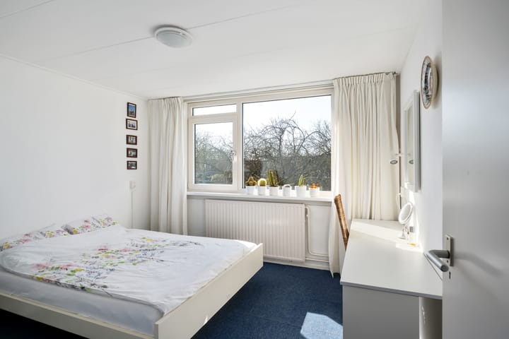 Foto 14 van Anne Franksingel 1