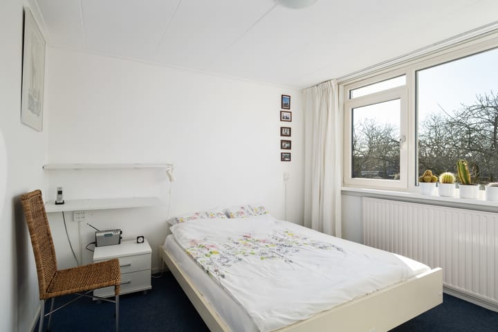 Foto 15 van Anne Franksingel 1