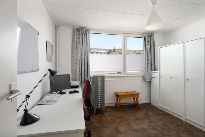 Foto 18 van Anne Franksingel 1