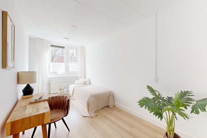 Foto 16 van Cornelis Springerstraat 34-H