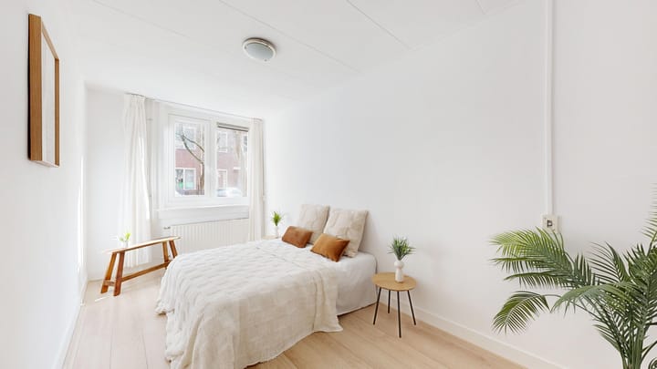 Foto 21 van Cornelis Springerstraat 34-H