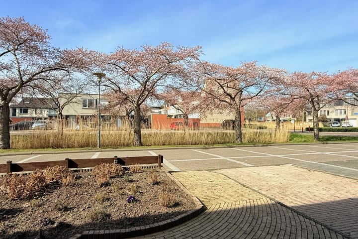 Foto 32 van den Doolaardstraat 1