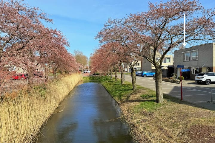 Foto 33 van den Doolaardstraat 1