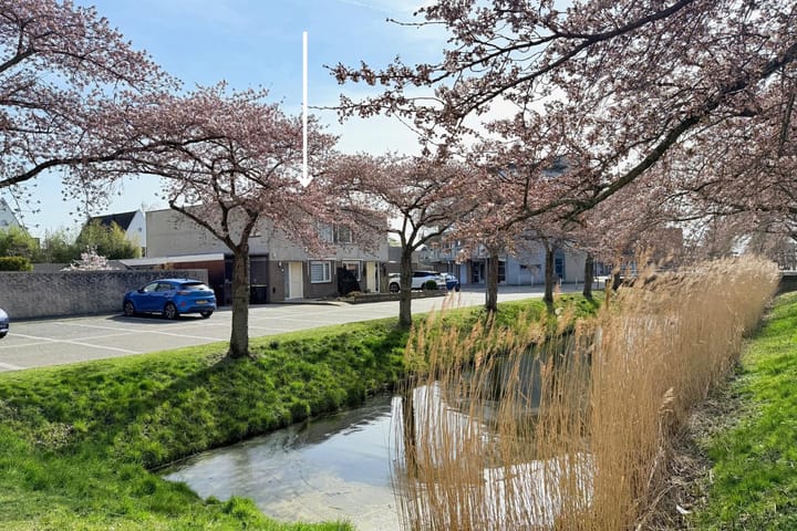 Foto 34 van den Doolaardstraat 1