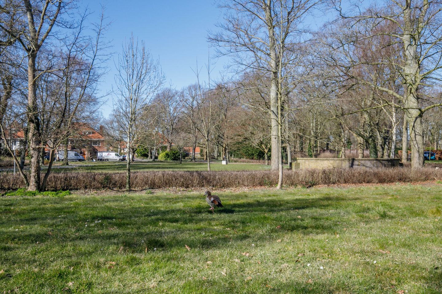 Foto 44 van Arentsburghlaan 55