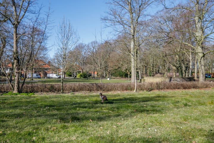 Foto 44 van Arentsburghlaan 55