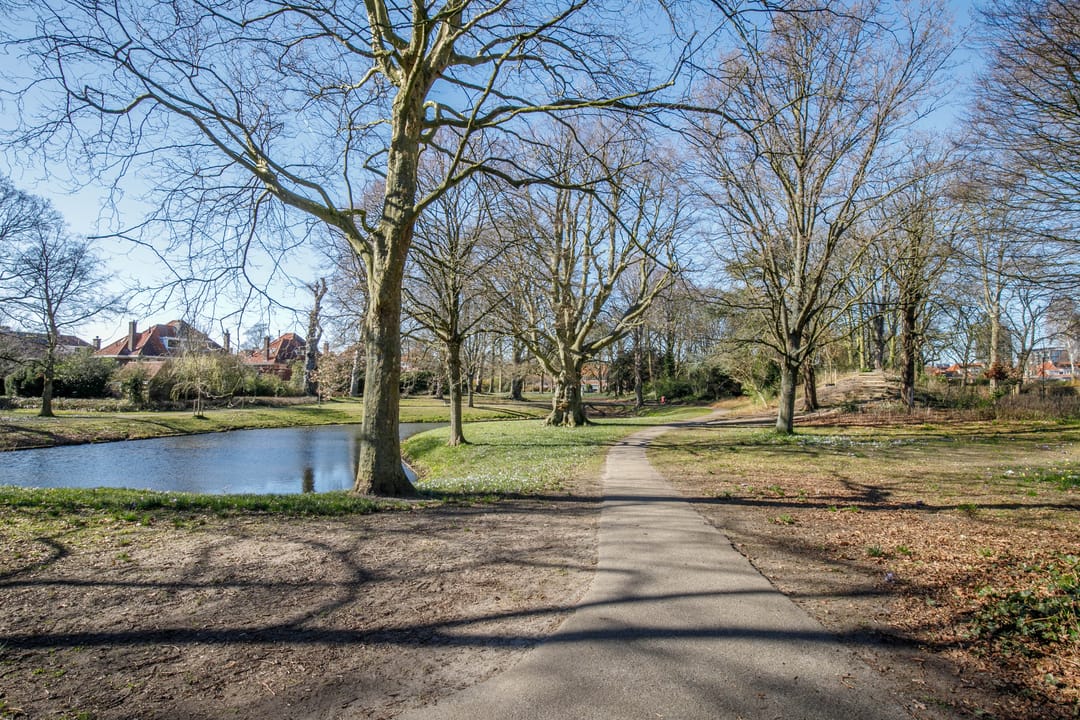 Foto 47 van Arentsburghlaan 55