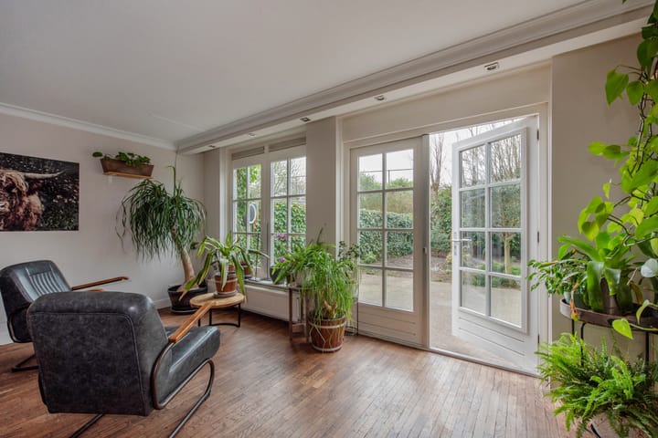 Photo 19 of Guirlande 109