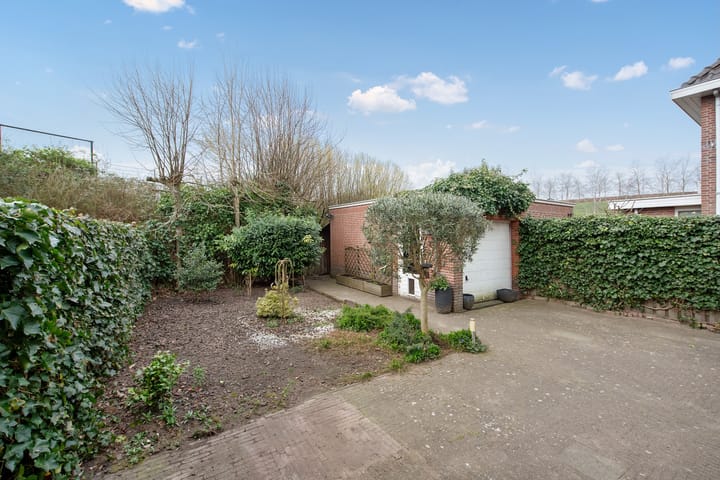 Photo 21 of Guirlande 109