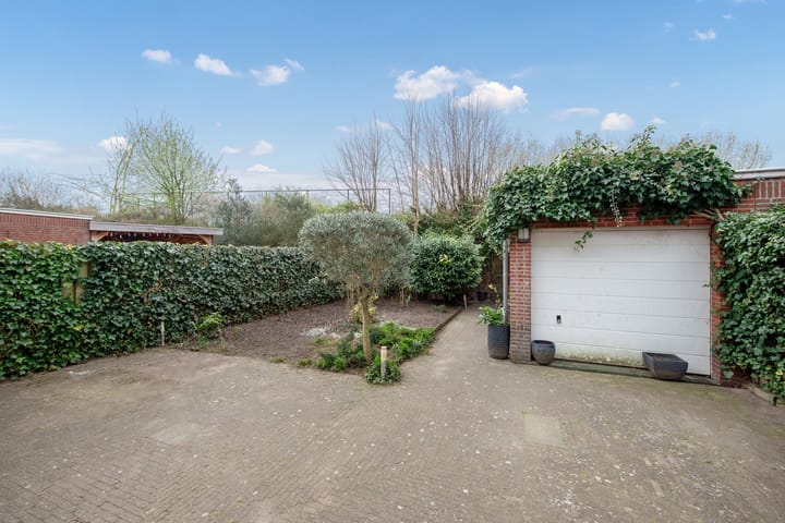 Photo 23 of Guirlande 109