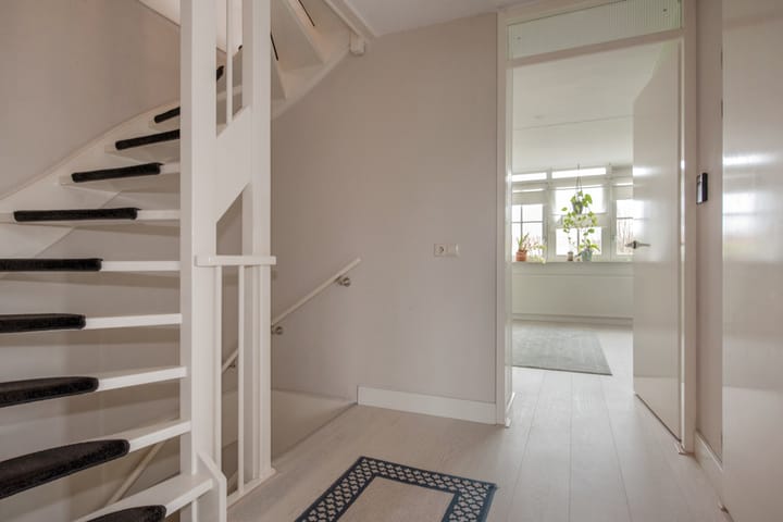 Photo 24 of Guirlande 109