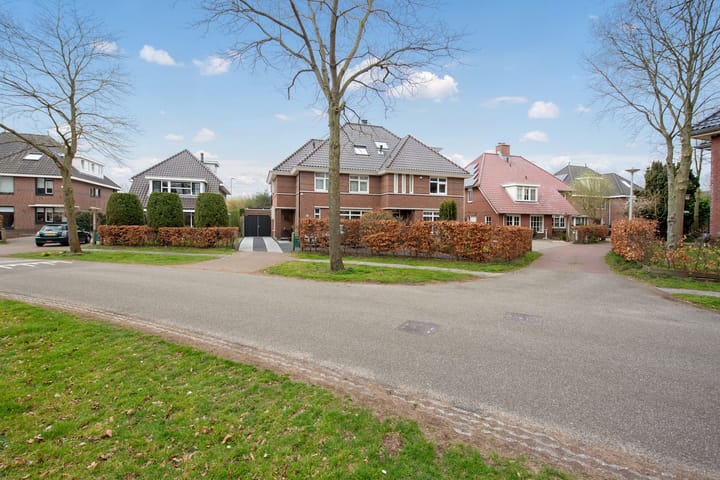 Photo 48 of Guirlande 109