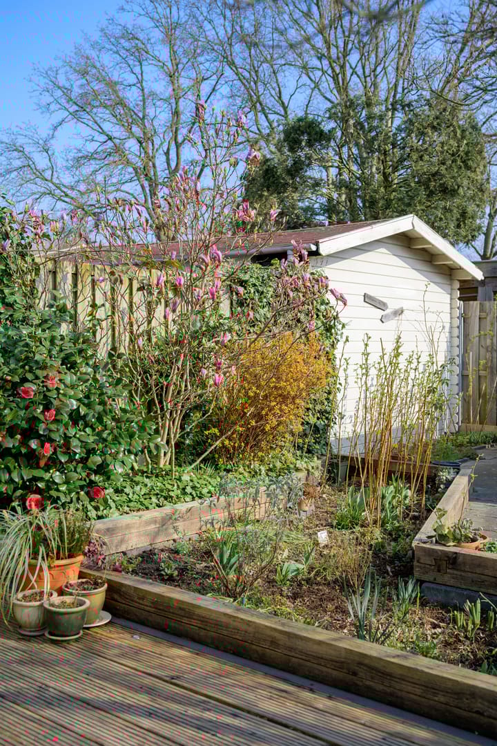 Foto 29 van Neteltuin 6