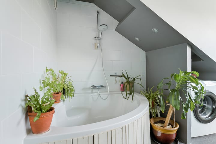 Foto 43 van Neteltuin 6