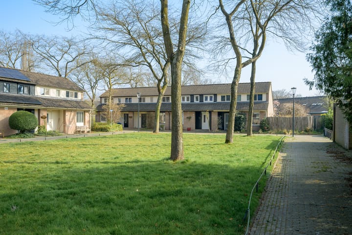 Foto 49 van Neteltuin 6