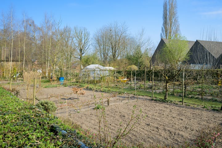 Foto 52 van Neteltuin 6