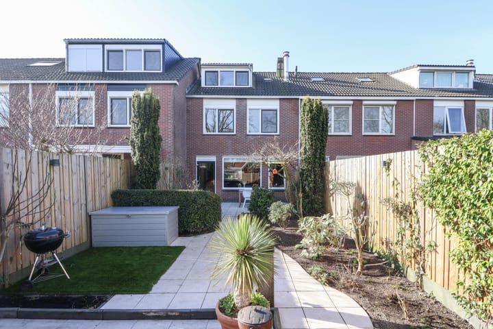 Foto 2 van Rietgans 90