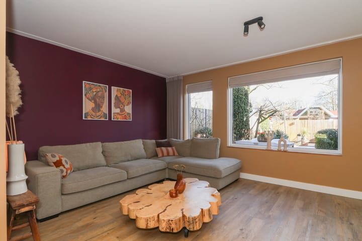 Foto 3 van Rietgans 90