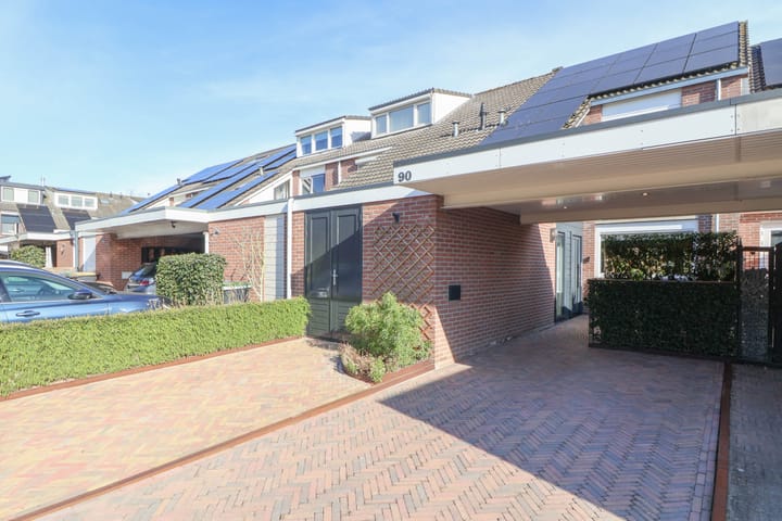 Foto 41 van Rietgans 90