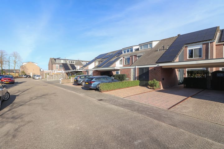 Foto 42 van Rietgans 90