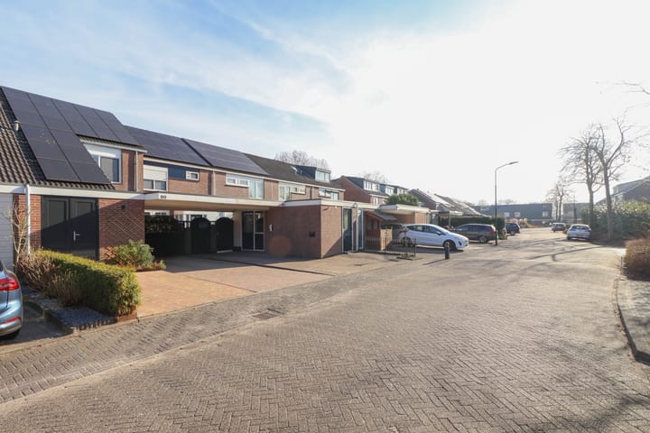 Foto 43 van Rietgans 90