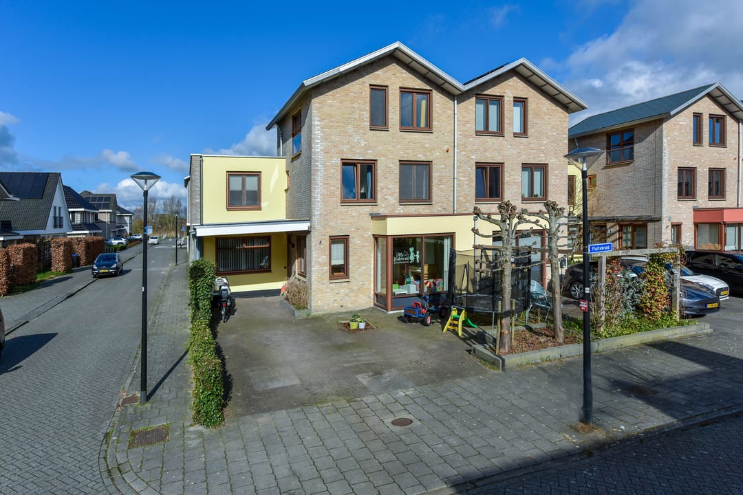 Foto 1 van Fluitekruid 36