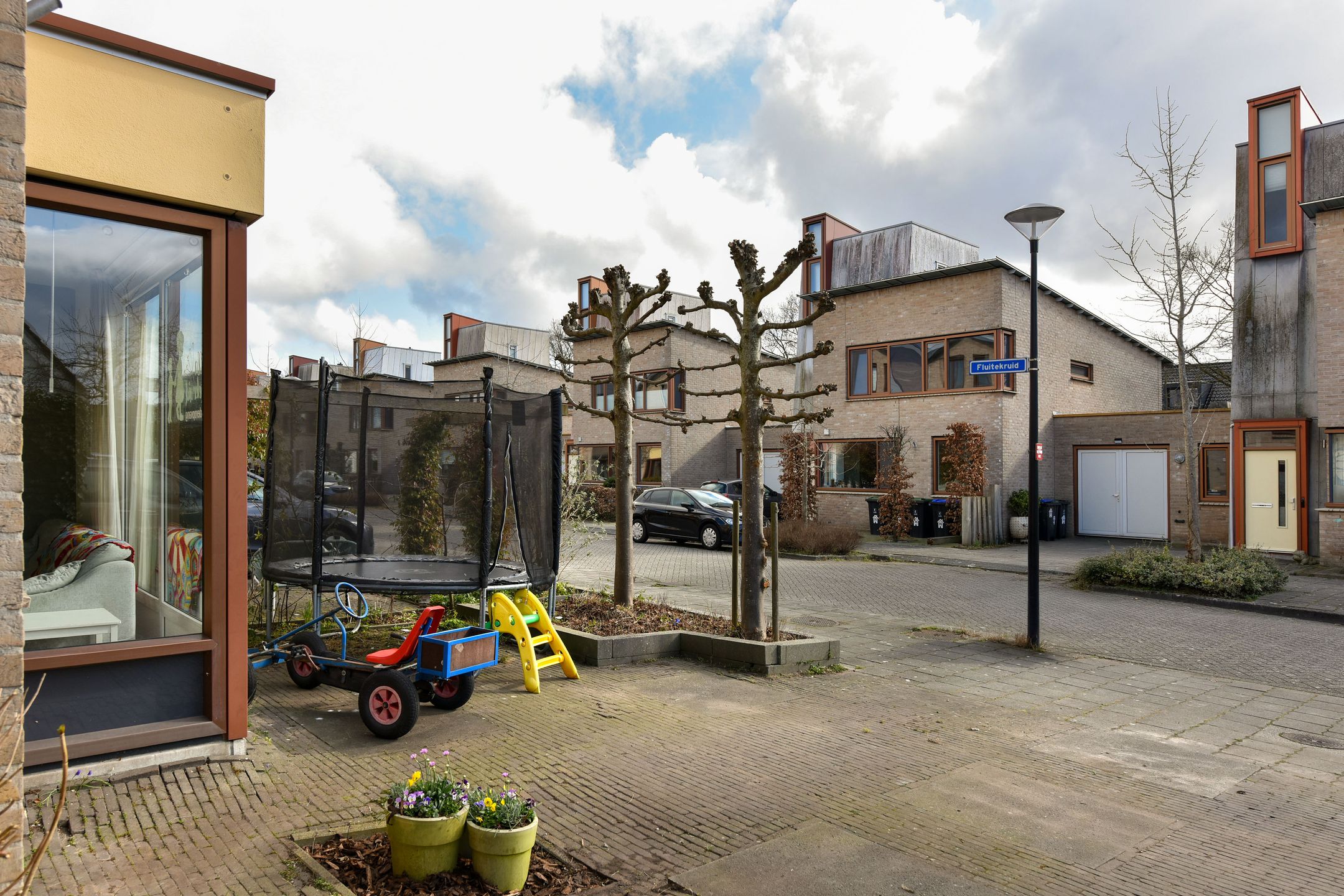 Foto 6 van Fluitekruid 36