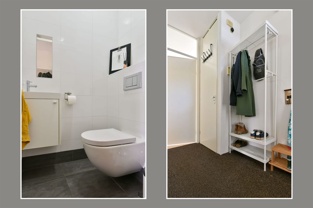 Foto 7 van Fluitekruid 36