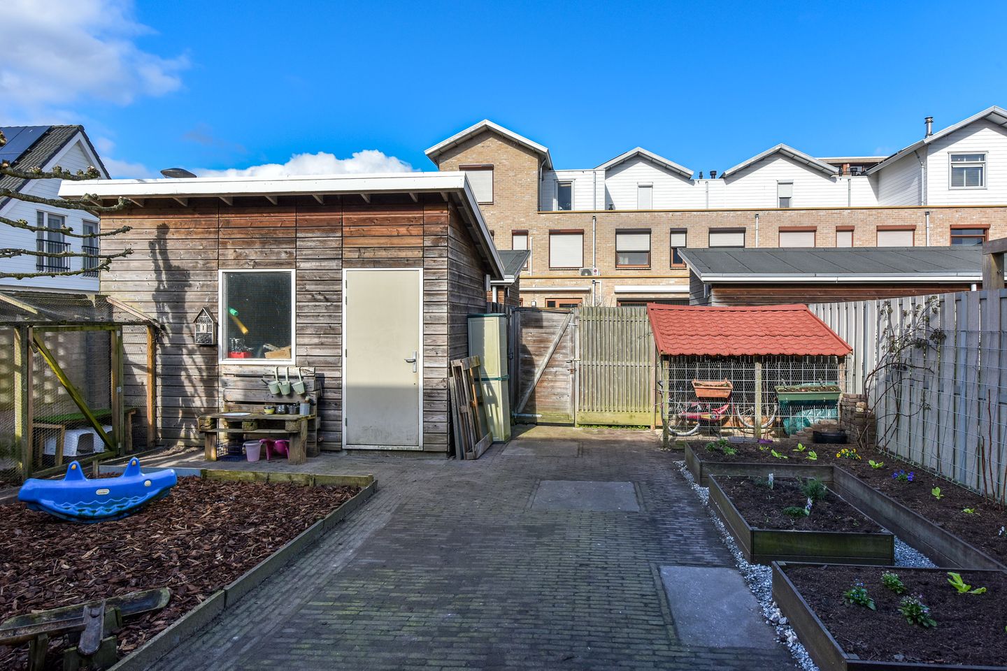 Foto 20 van Fluitekruid 36