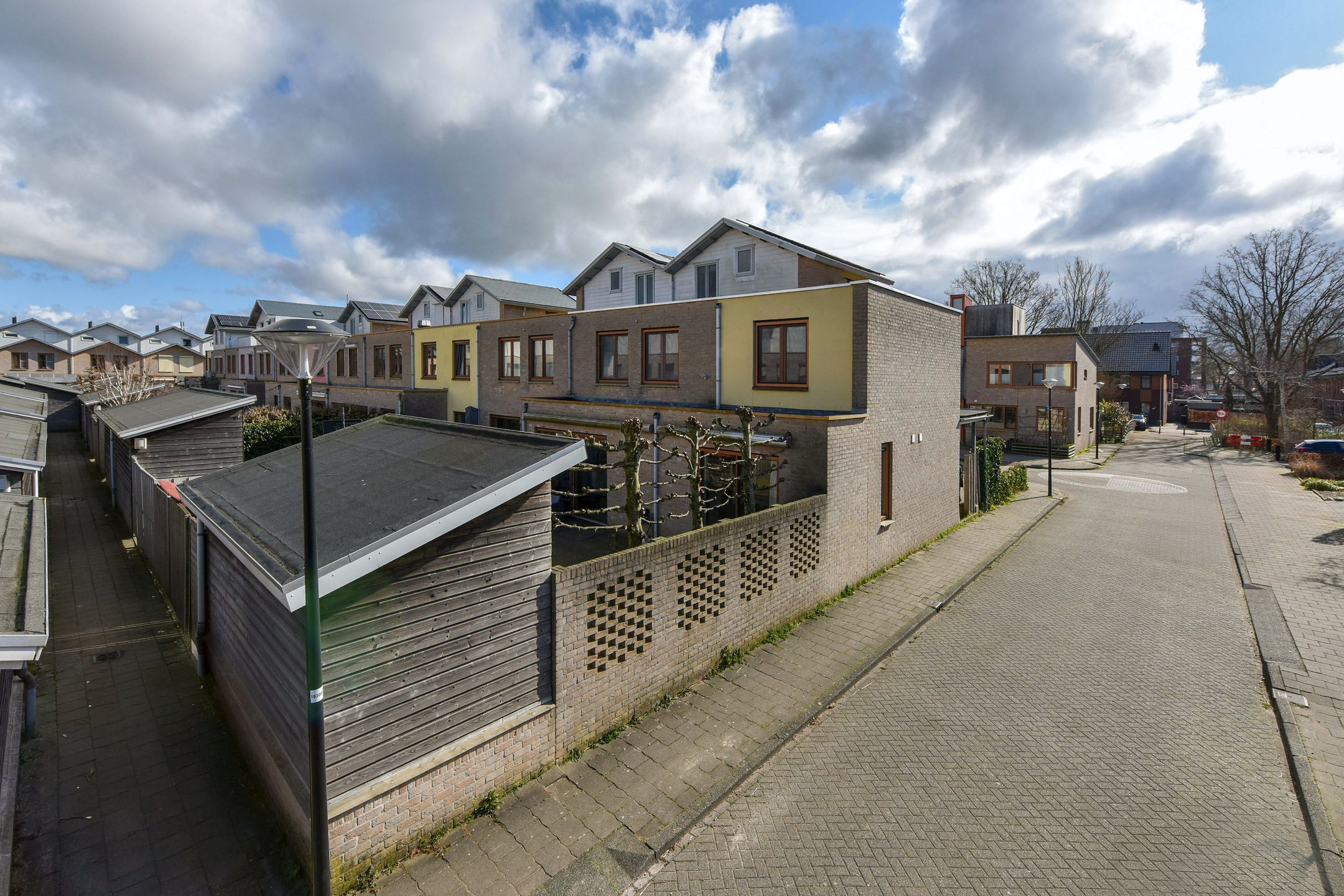 Foto 21 van Fluitekruid 36