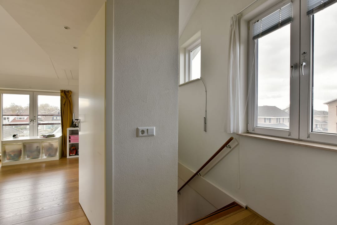 Foto 31 van Fluitekruid 36